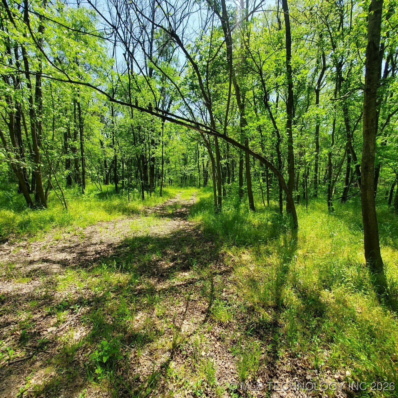 23316 S Hwy 88 Property Photo 10