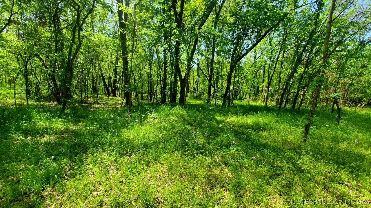 23316 S Hwy 88 Property Photo 11