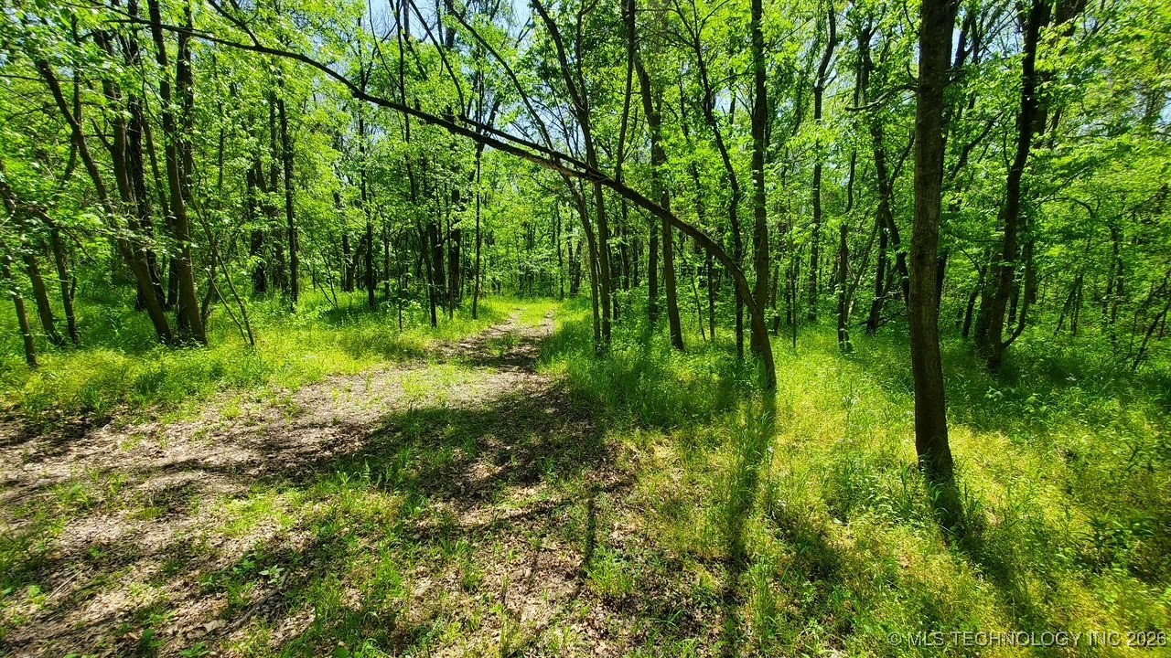 23316 S Hwy 88 Property Photo 12