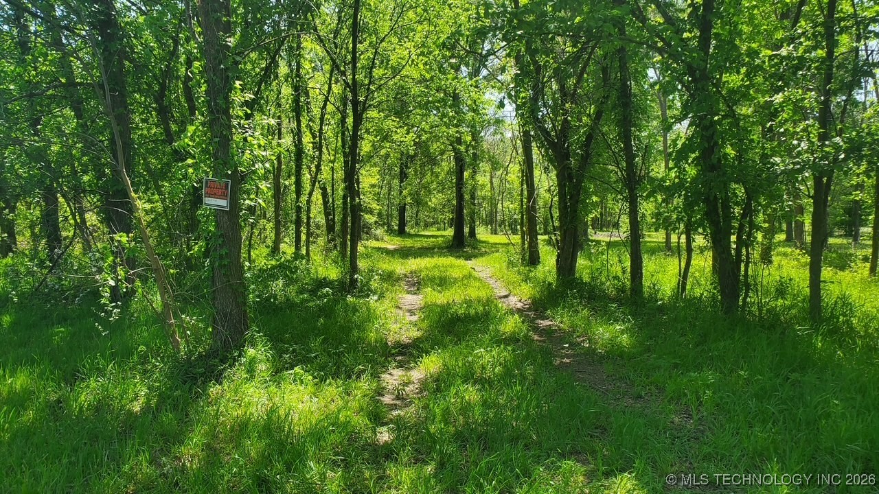 23316 S Hwy 88 Property Photo 17