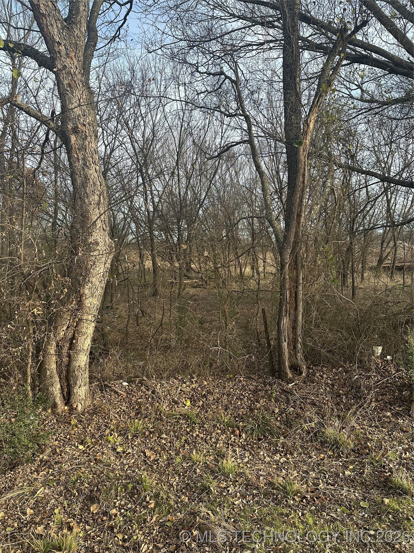 0 Us Hwy 77 Property Photo 2