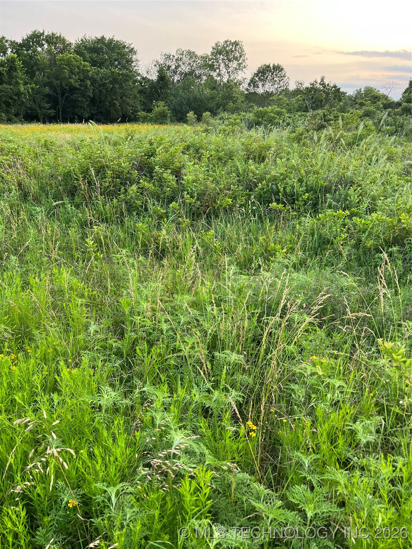 10998 Ew 05 Rd Property Photo 26