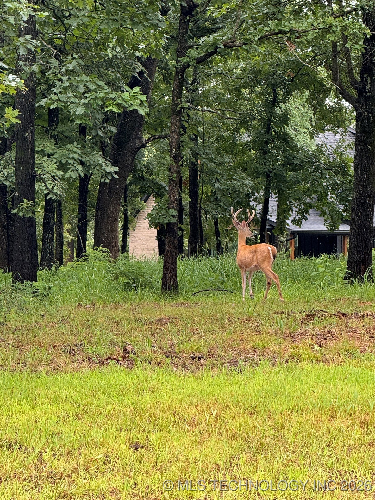 119402 S 4214 Loop Property Photo 45