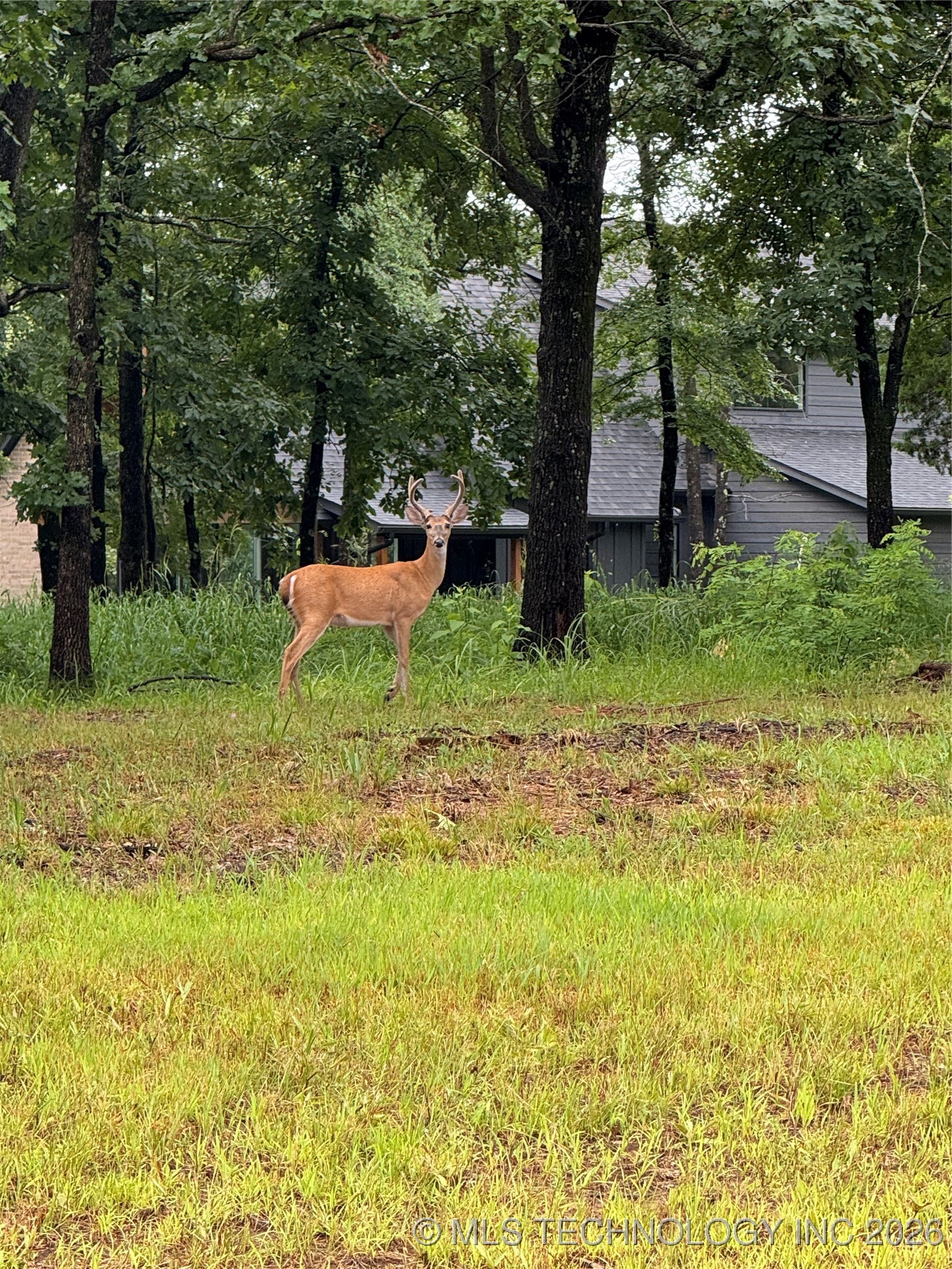 119402 S 4214 Loop Property Photo 46