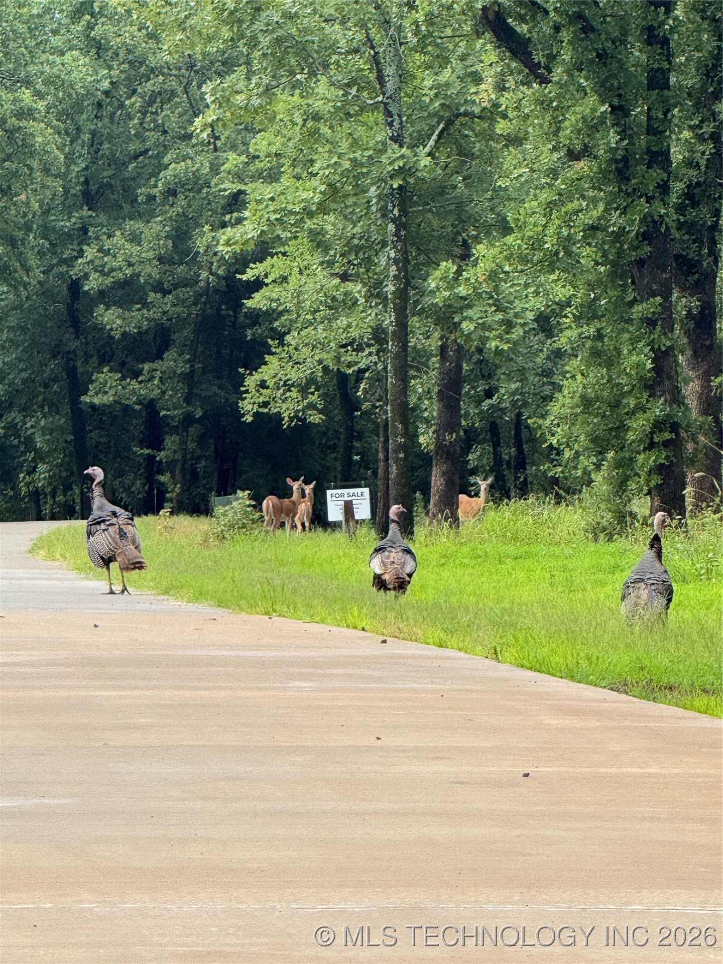 119402 S 4214 Loop Property Photo 47