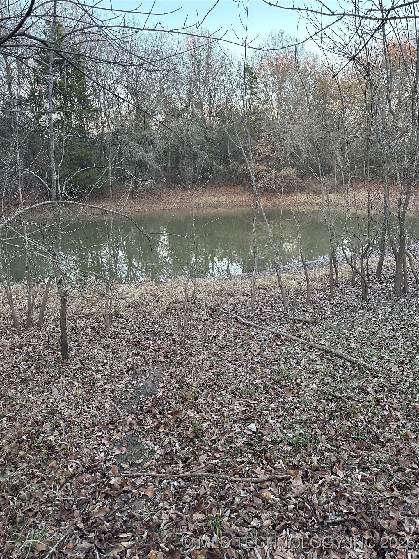 Philadelphia Property Photo 7