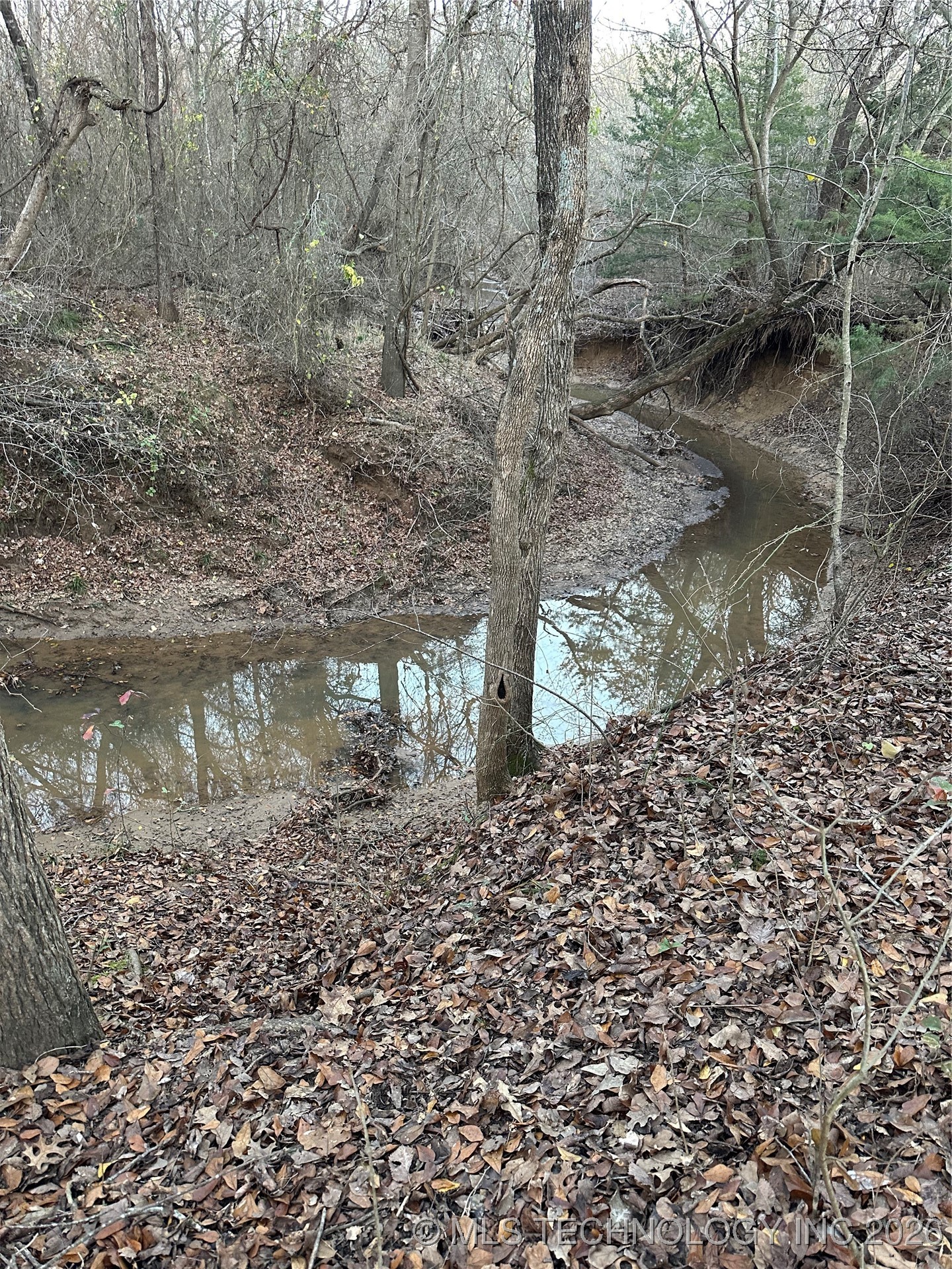 Philadelphia Property Photo 8