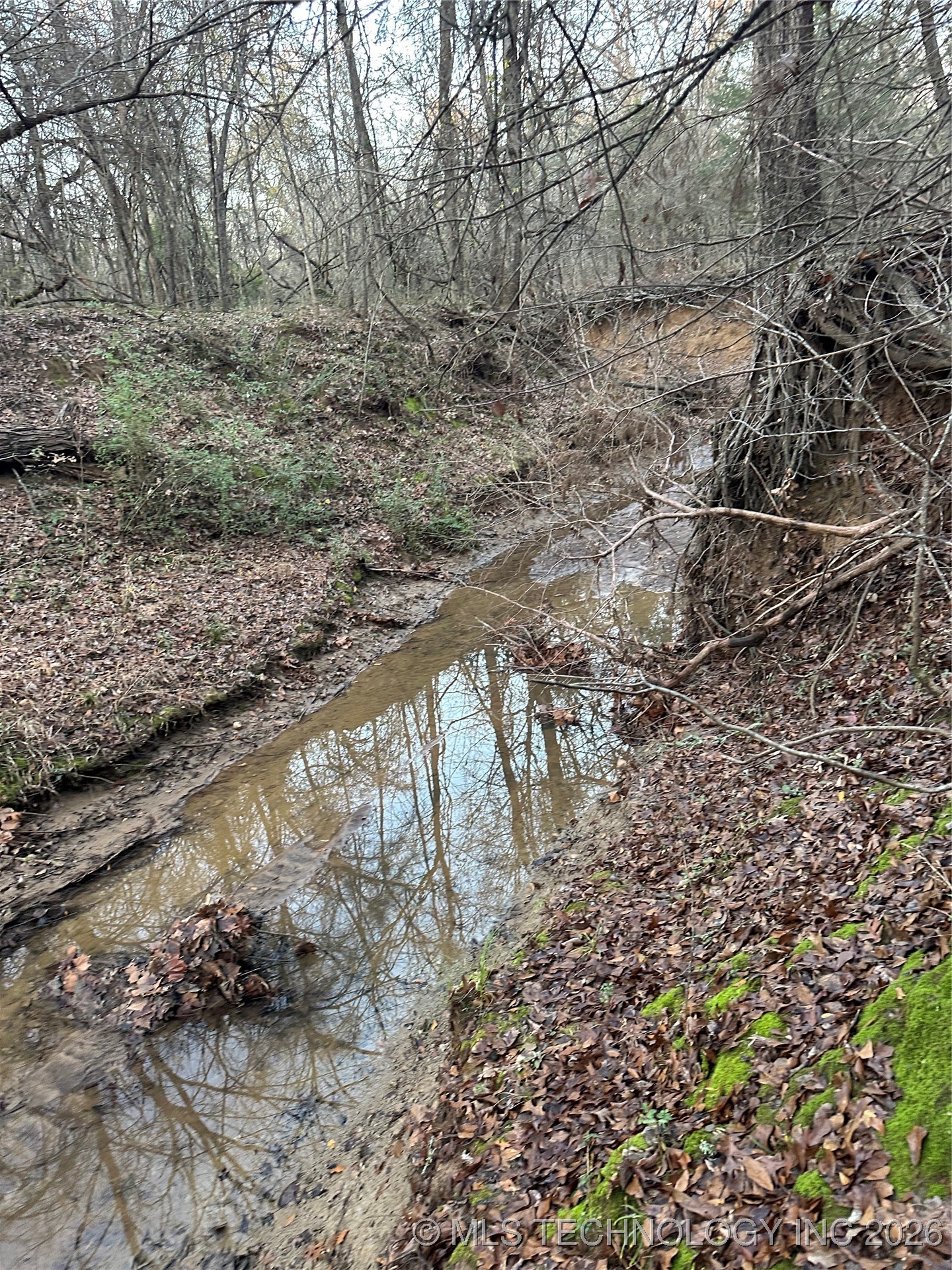 Philadelphia Property Photo 11