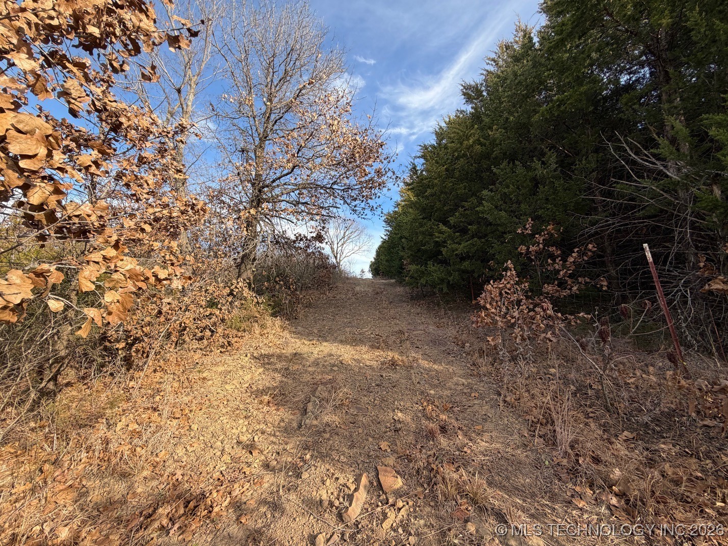 57790 S 36980 Road Property Photo 4