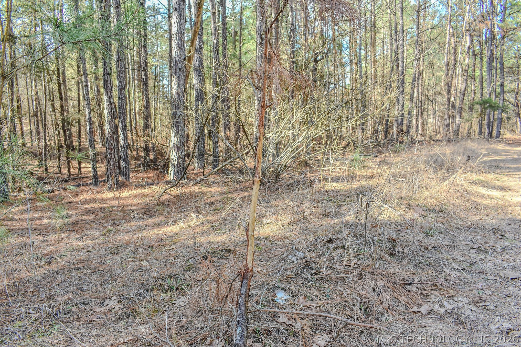 32 E 2030 Road Property Photo 15