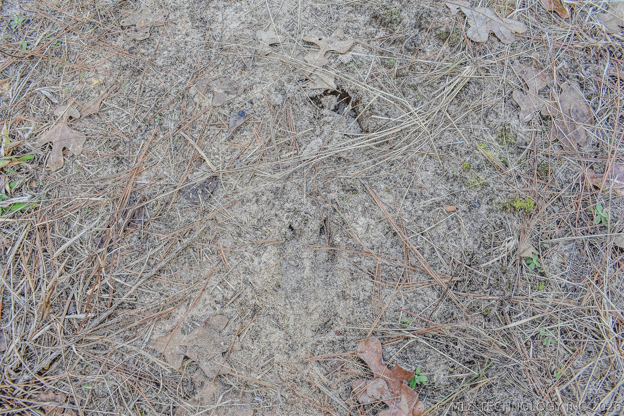 32 E 2030 Road Property Photo 19