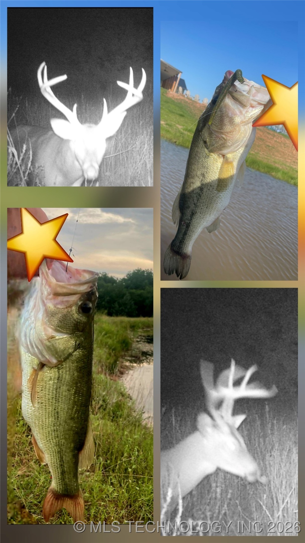 35998 Sacred Heart Road Property Photo 6