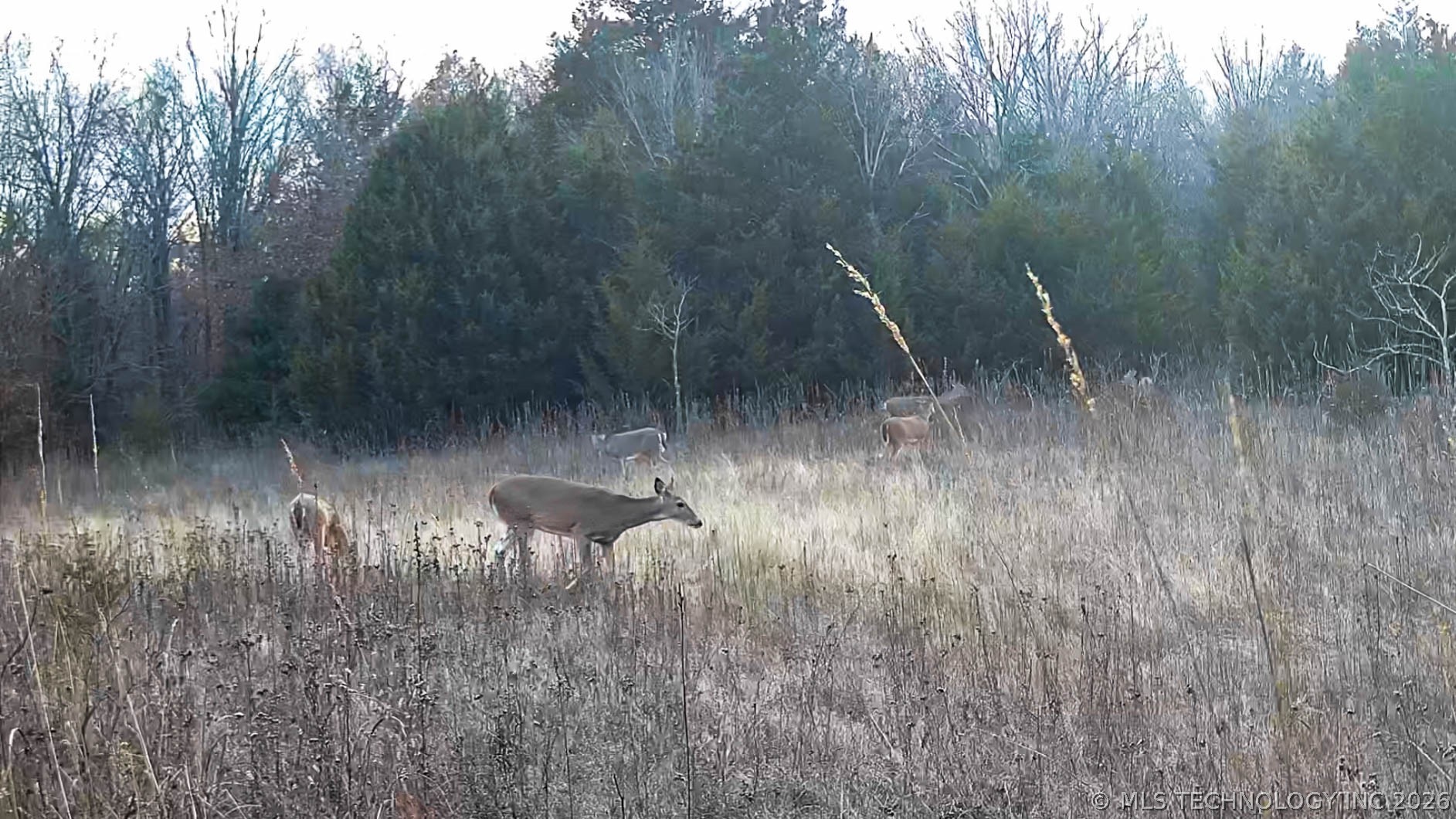 1 E 1180 Road Property Photo 73