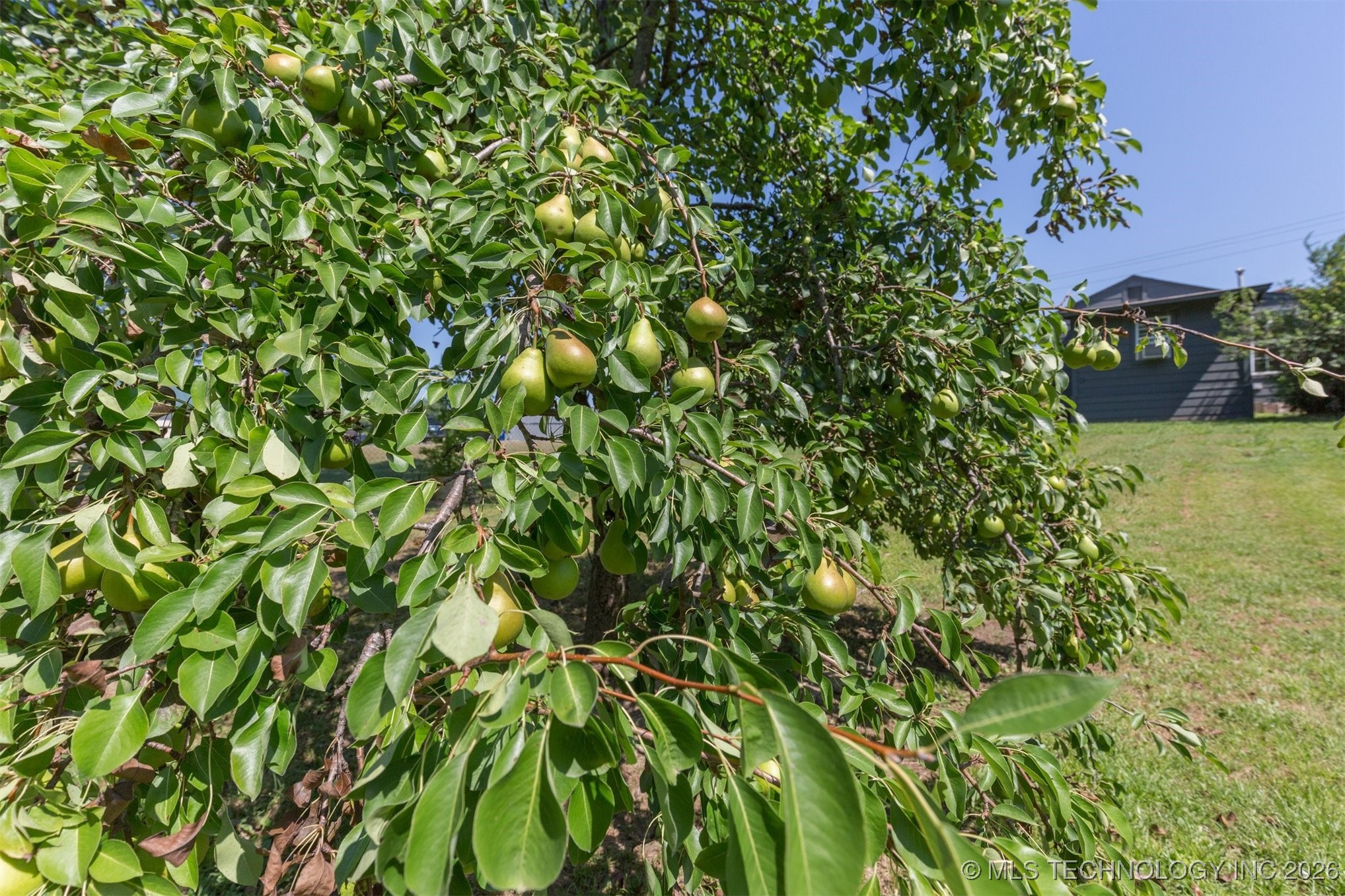 210 E Redwood Street Property Photo 29