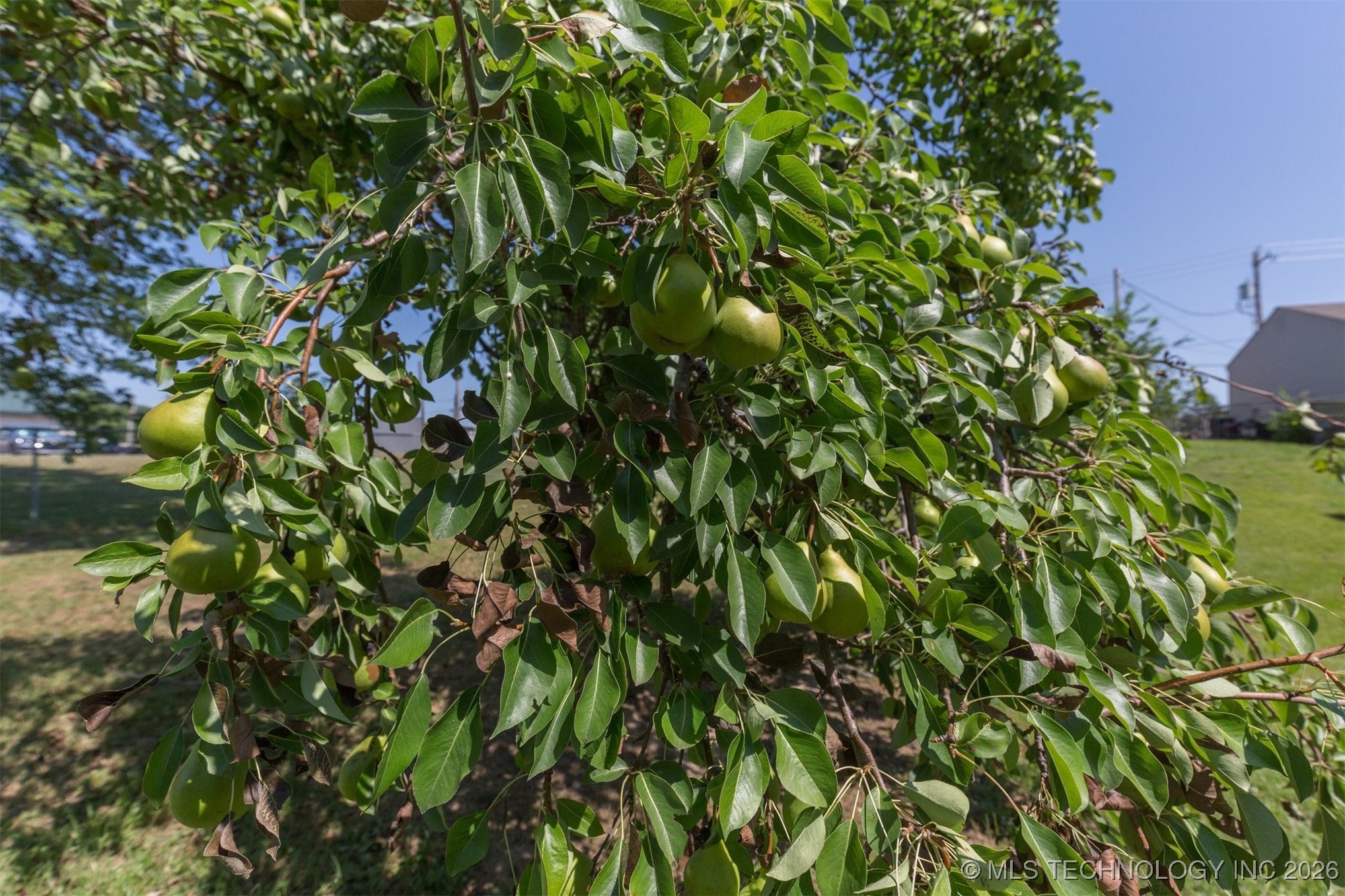 210 E Redwood Street Property Photo 30