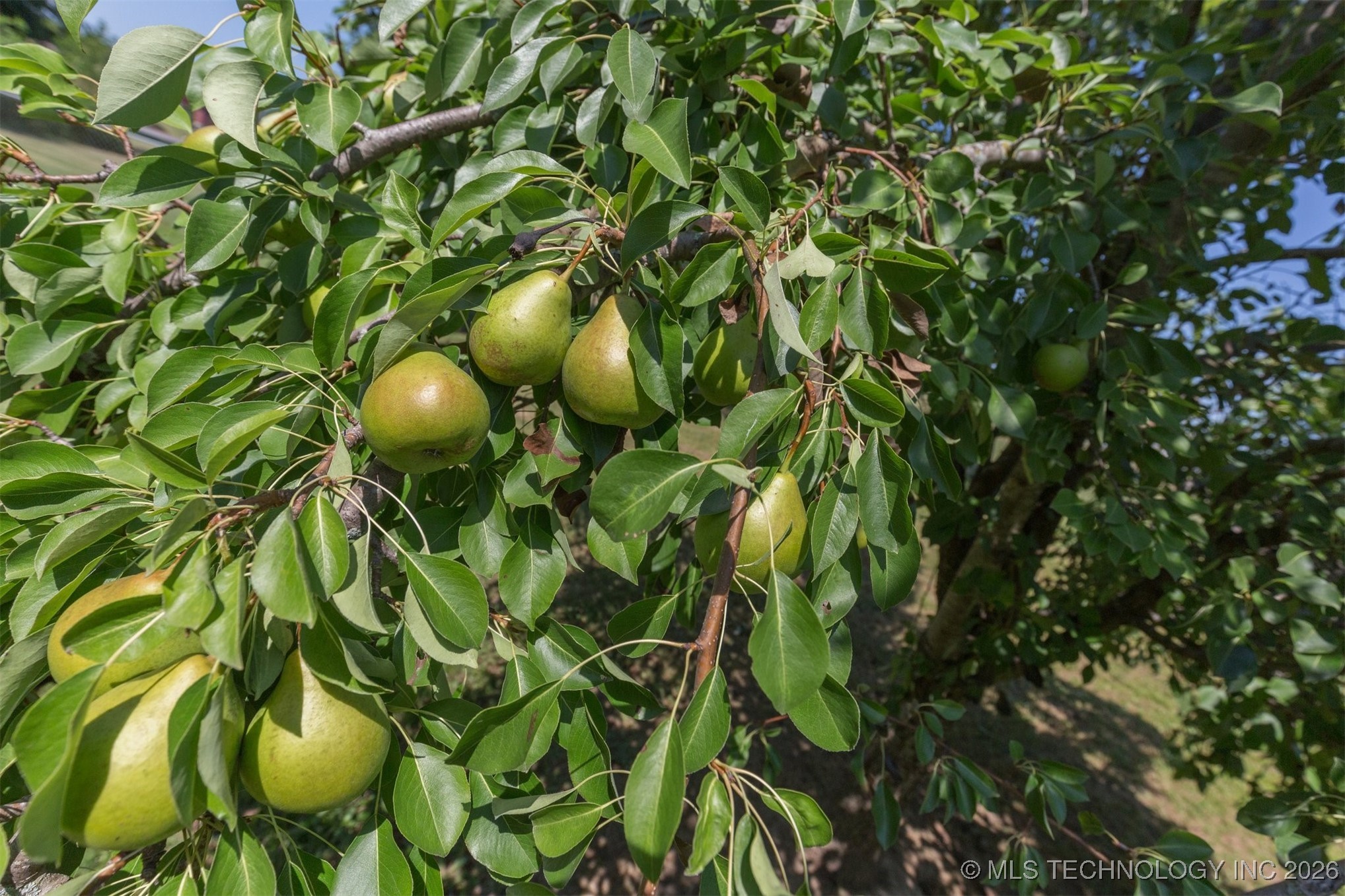 210 E Redwood Street Property Photo 31