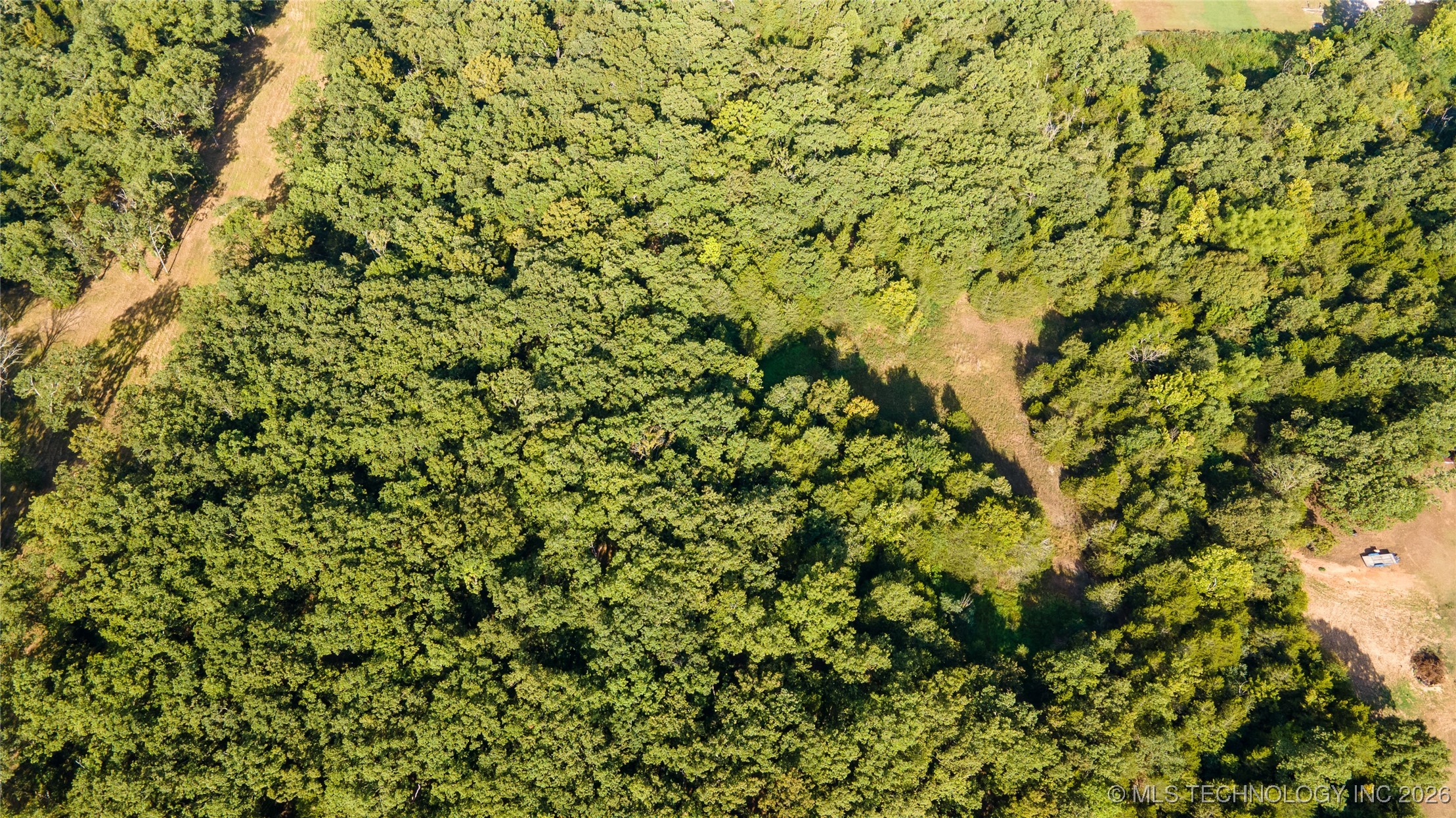 100257 Hwy 100 Property Photo 14