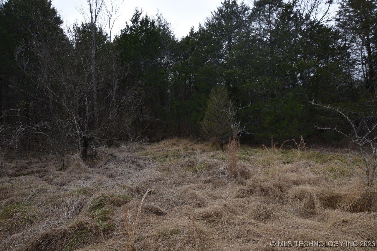 100257 Hwy 100 Property Photo 45