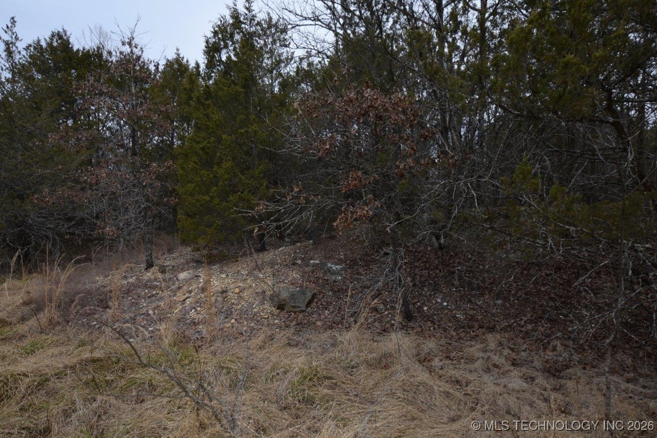 100257 Hwy 100 Property Photo 47