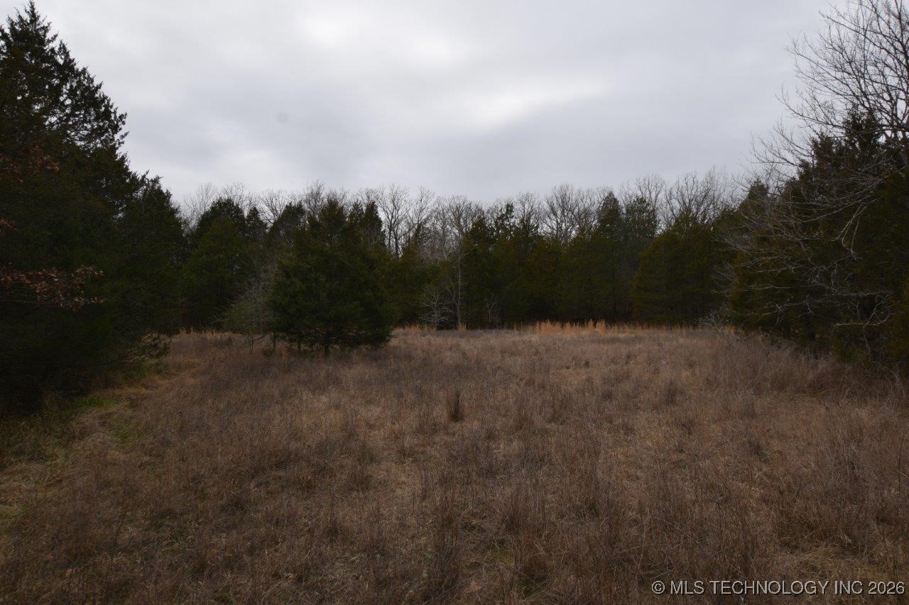 100257 Hwy 100 Property Photo 48