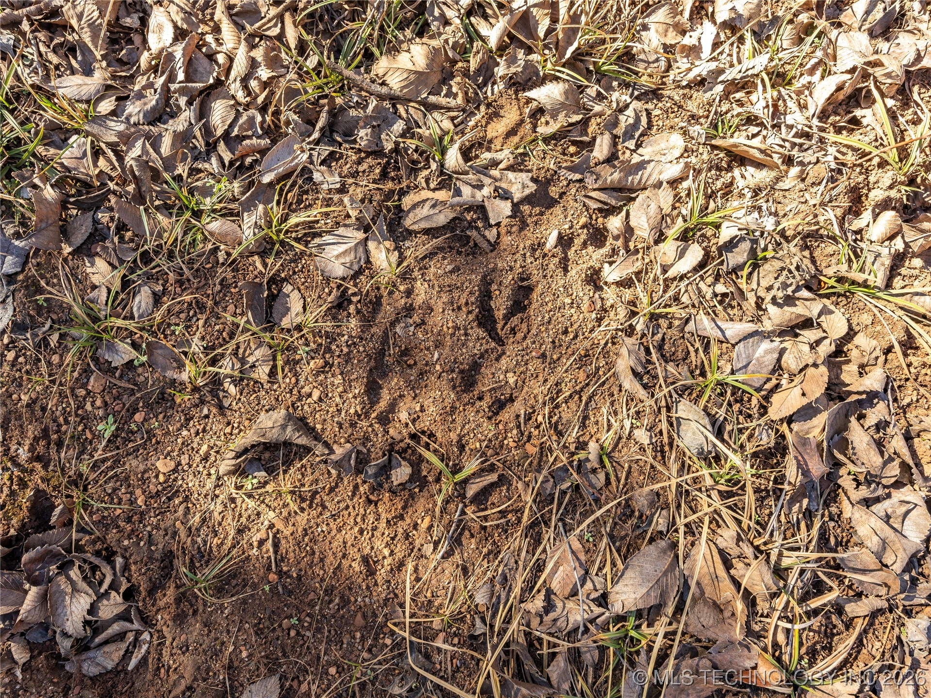 166 W 630 Road Property Photo 42