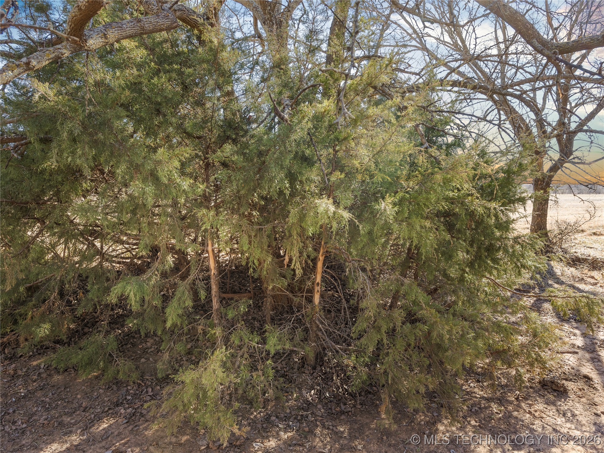 166 W 630 Road Property Photo 43