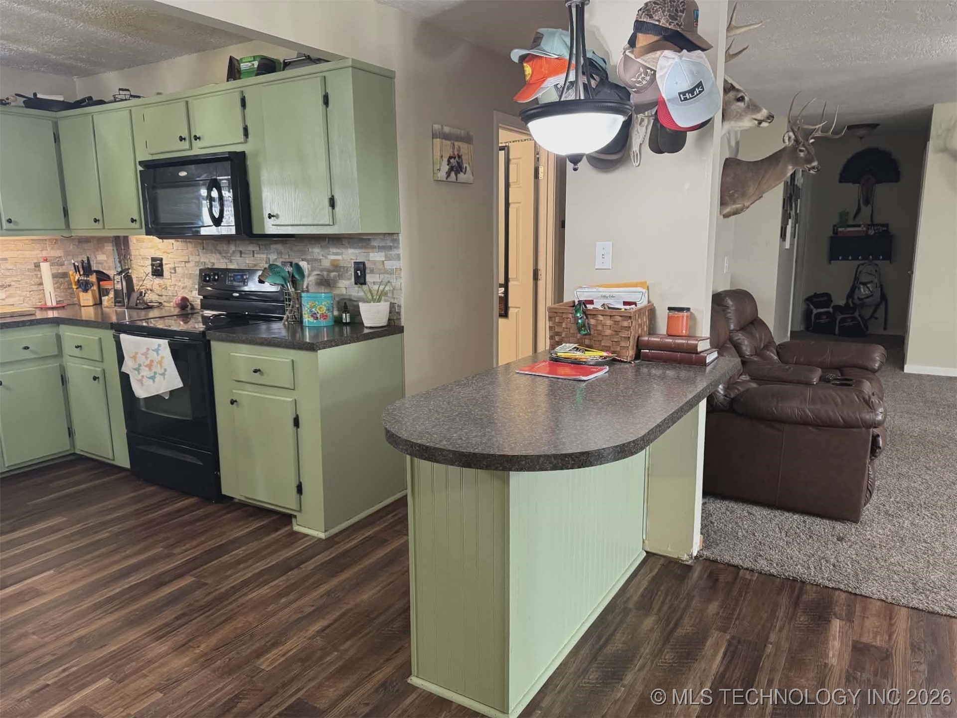 451 Horseshoe Lane Property Photo 16