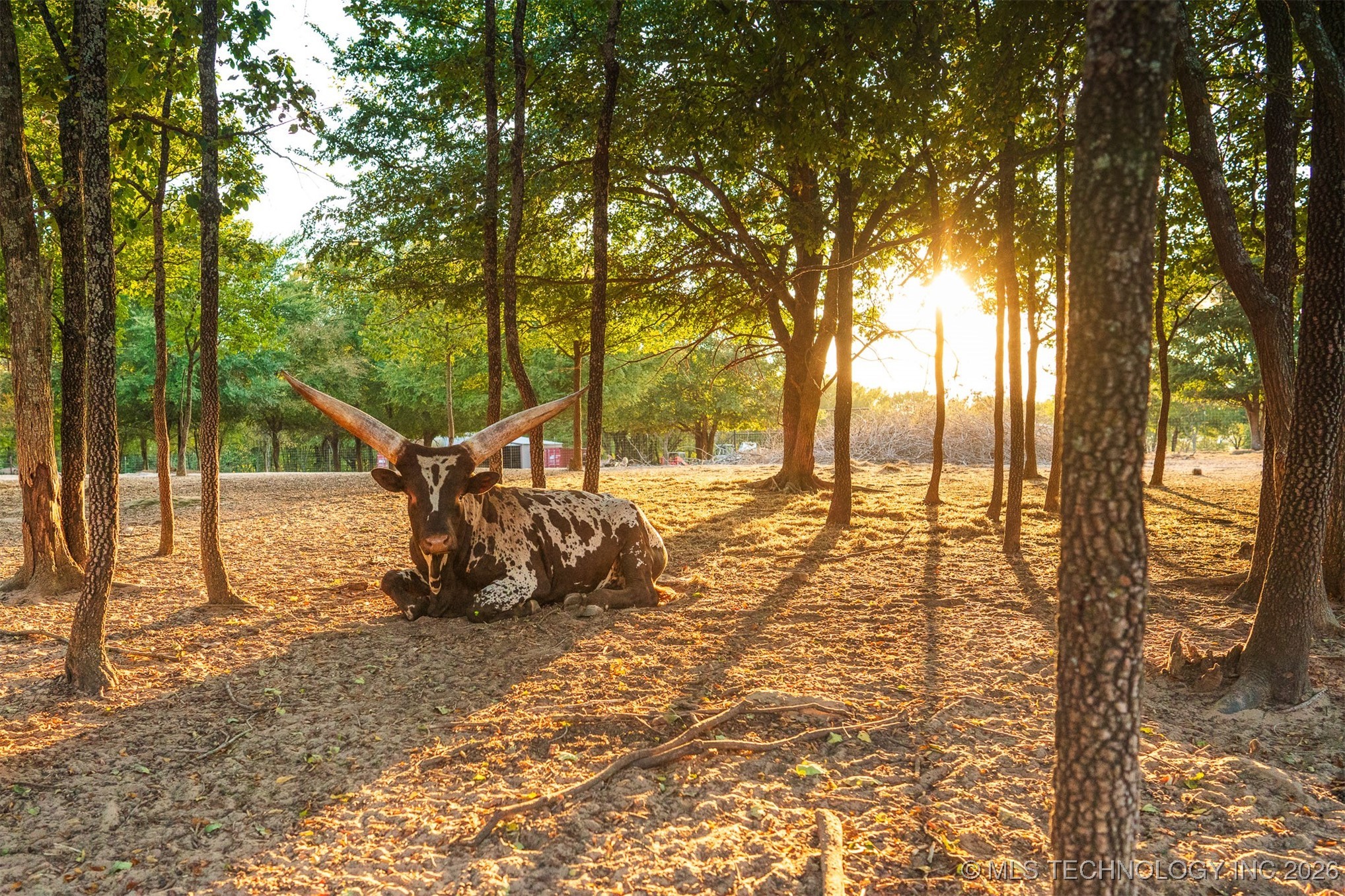 106082 N 3810 Street Property Photo 1