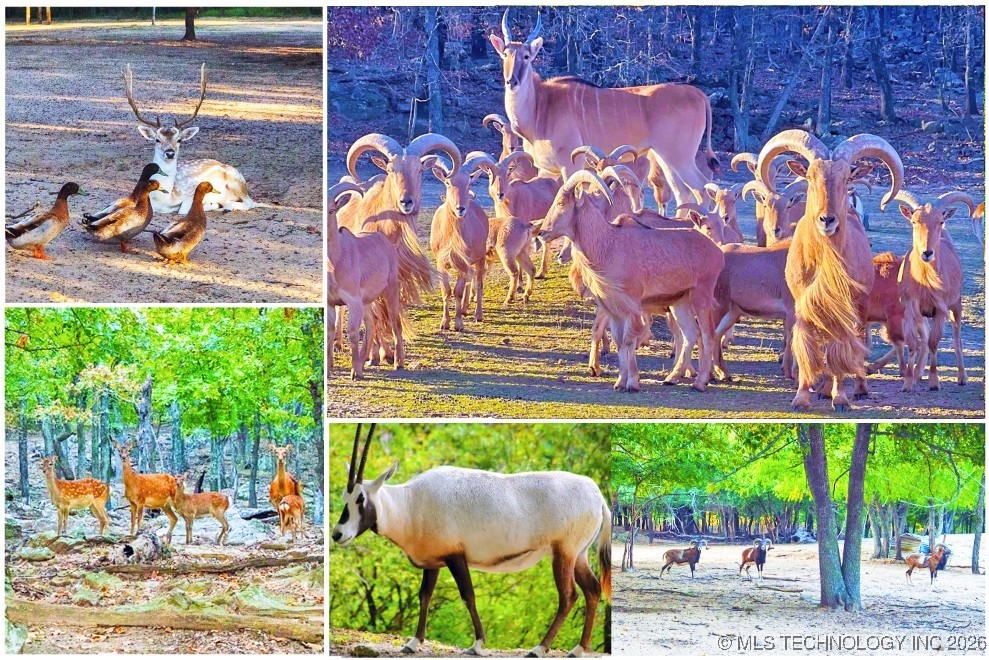 106082 N 3810 Street Property Photo 34