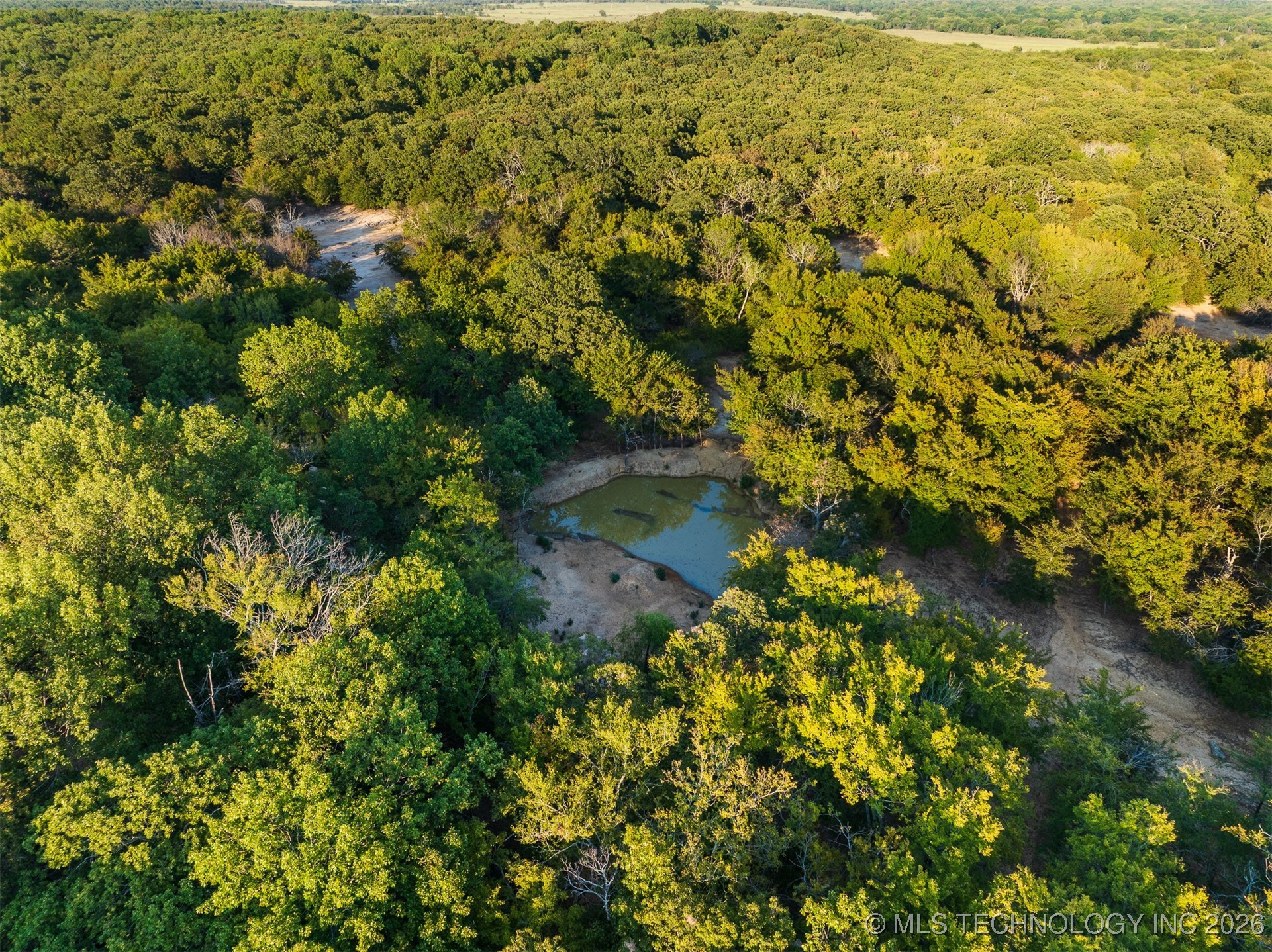 106082 N 3810 Street Property Photo 59