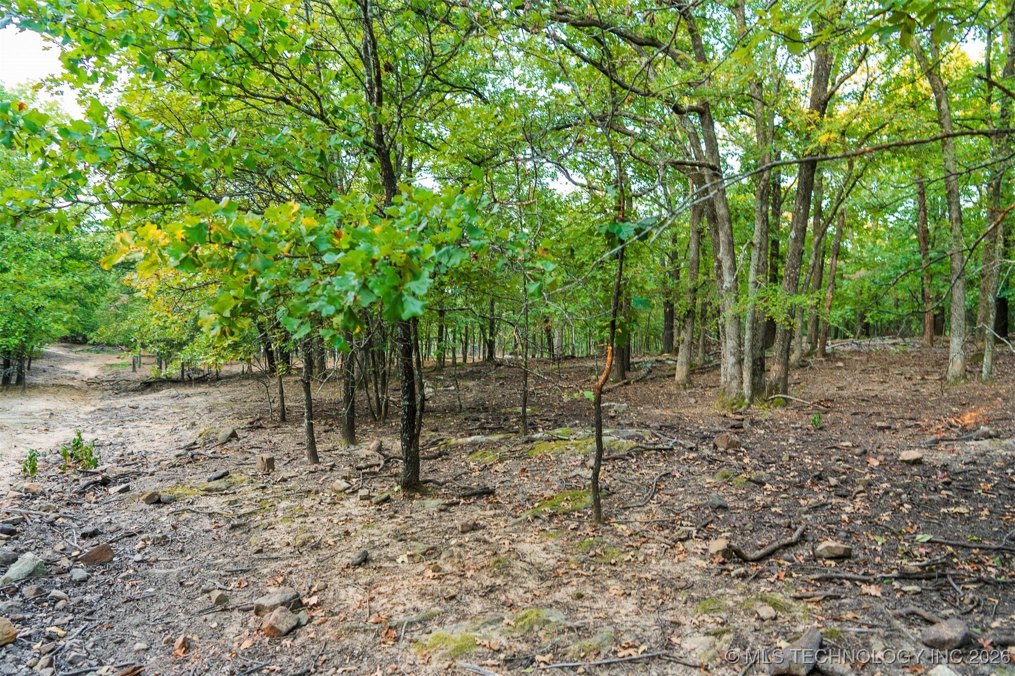 106082 N 3810 Street Property Photo 67