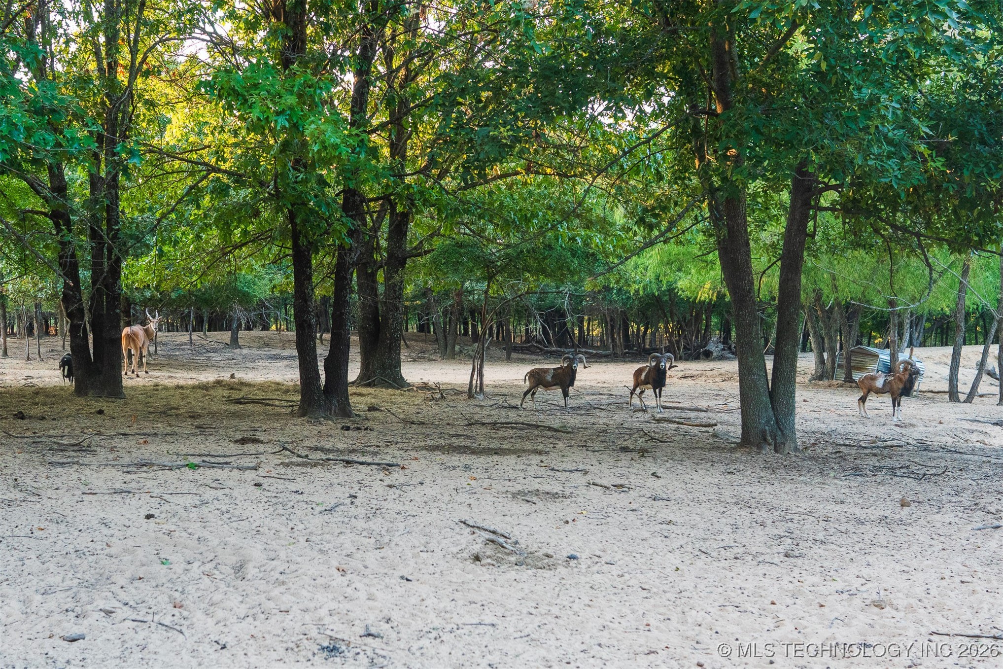 106082 N 3810 Street Property Photo 69