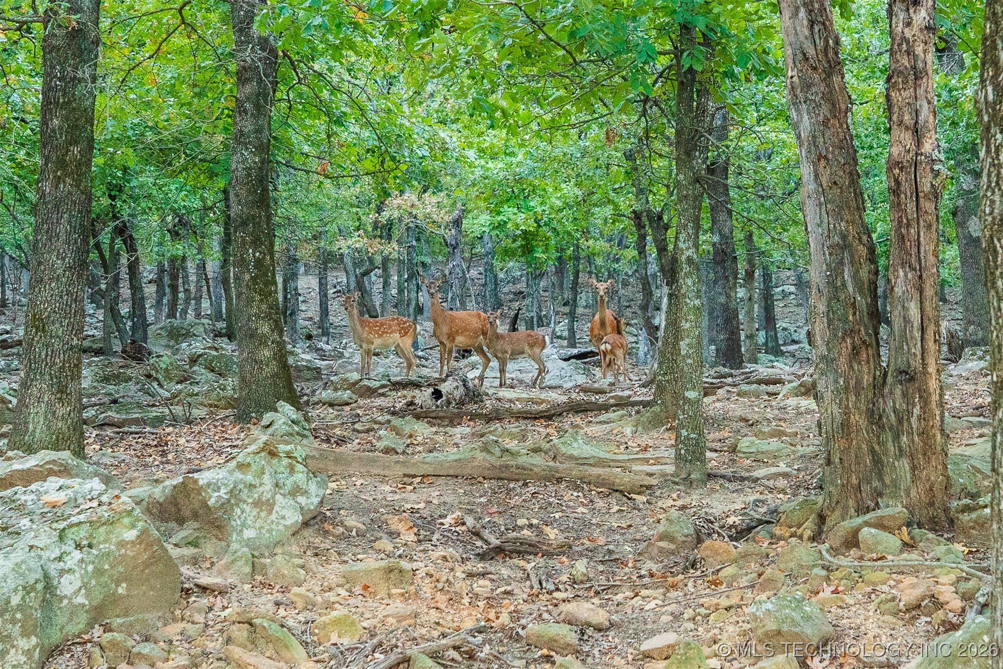 106082 N 3810 Street Property Photo 70