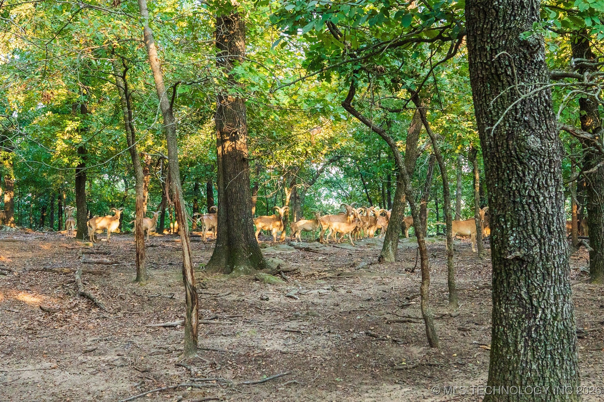 106082 N 3810 Street Property Photo 72