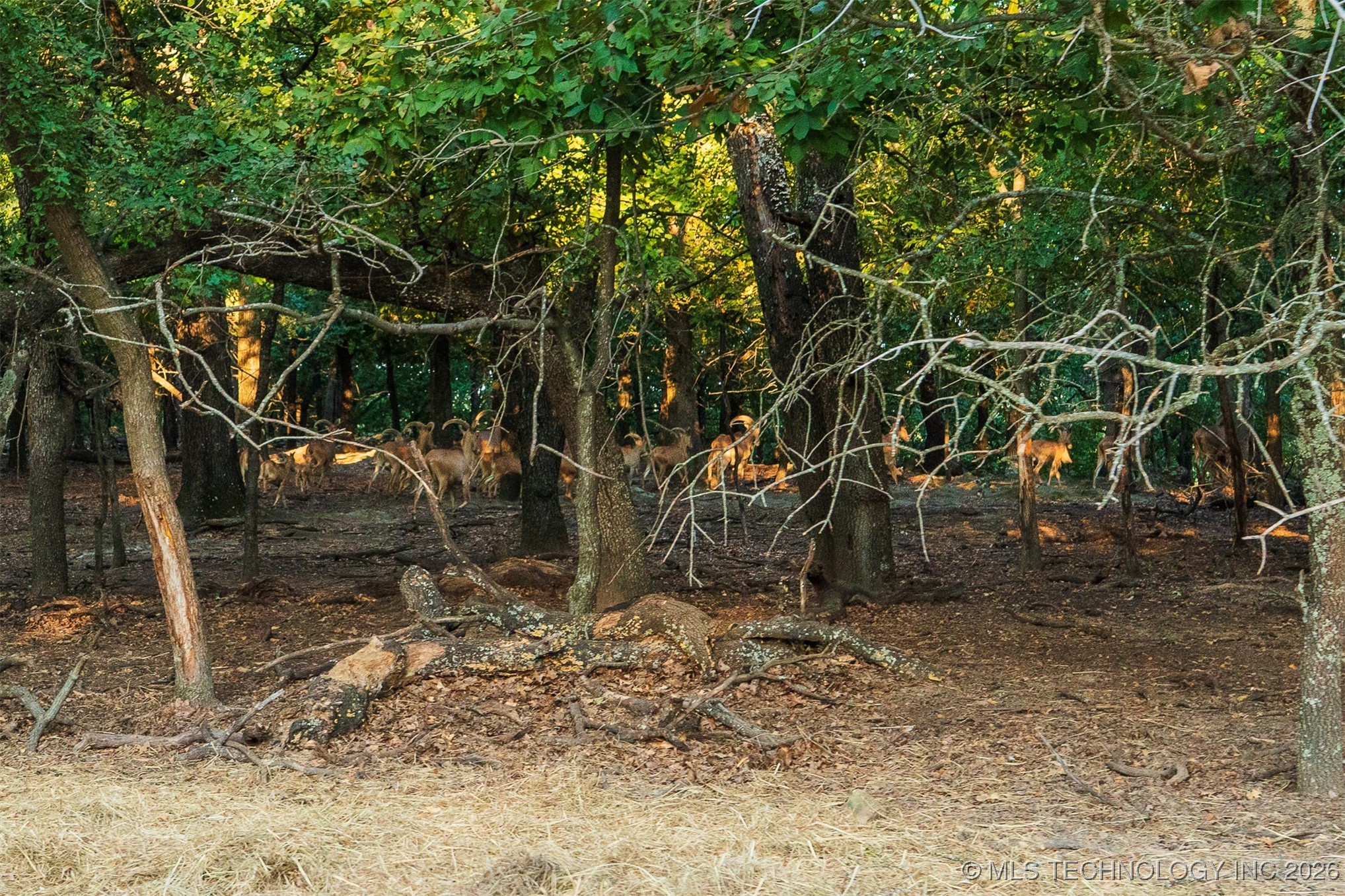 106082 N 3810 Street Property Photo 73