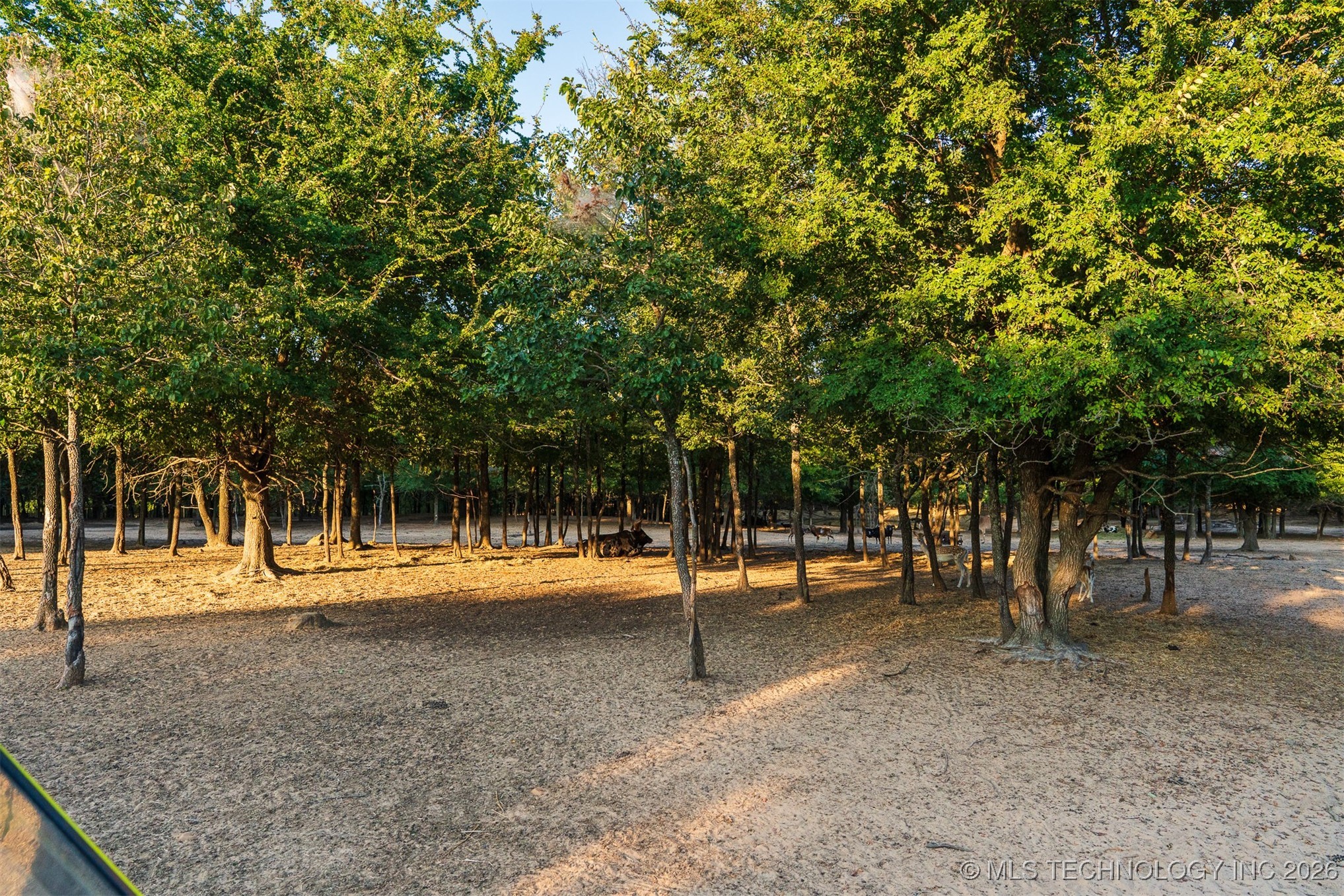 106082 N 3810 Street Property Photo 74