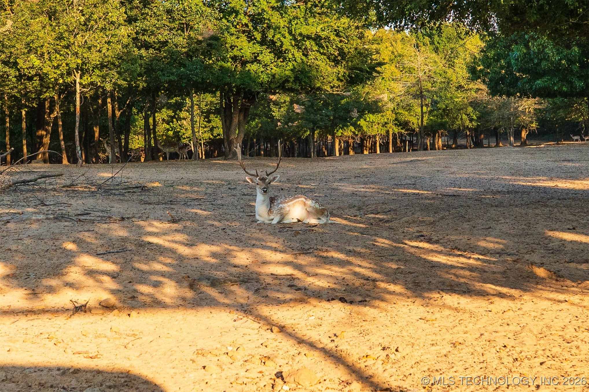 106082 N 3810 Street Property Photo 75
