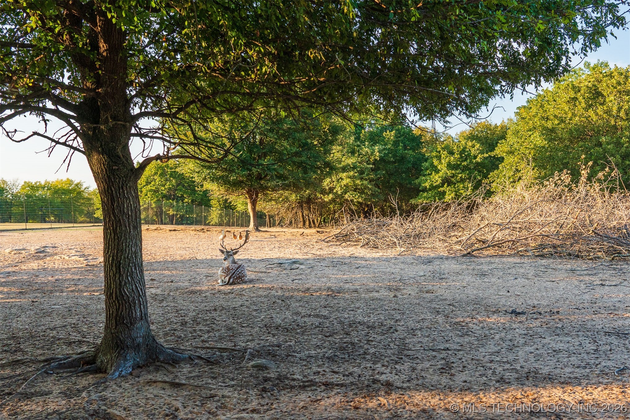 106082 N 3810 Street Property Photo 76