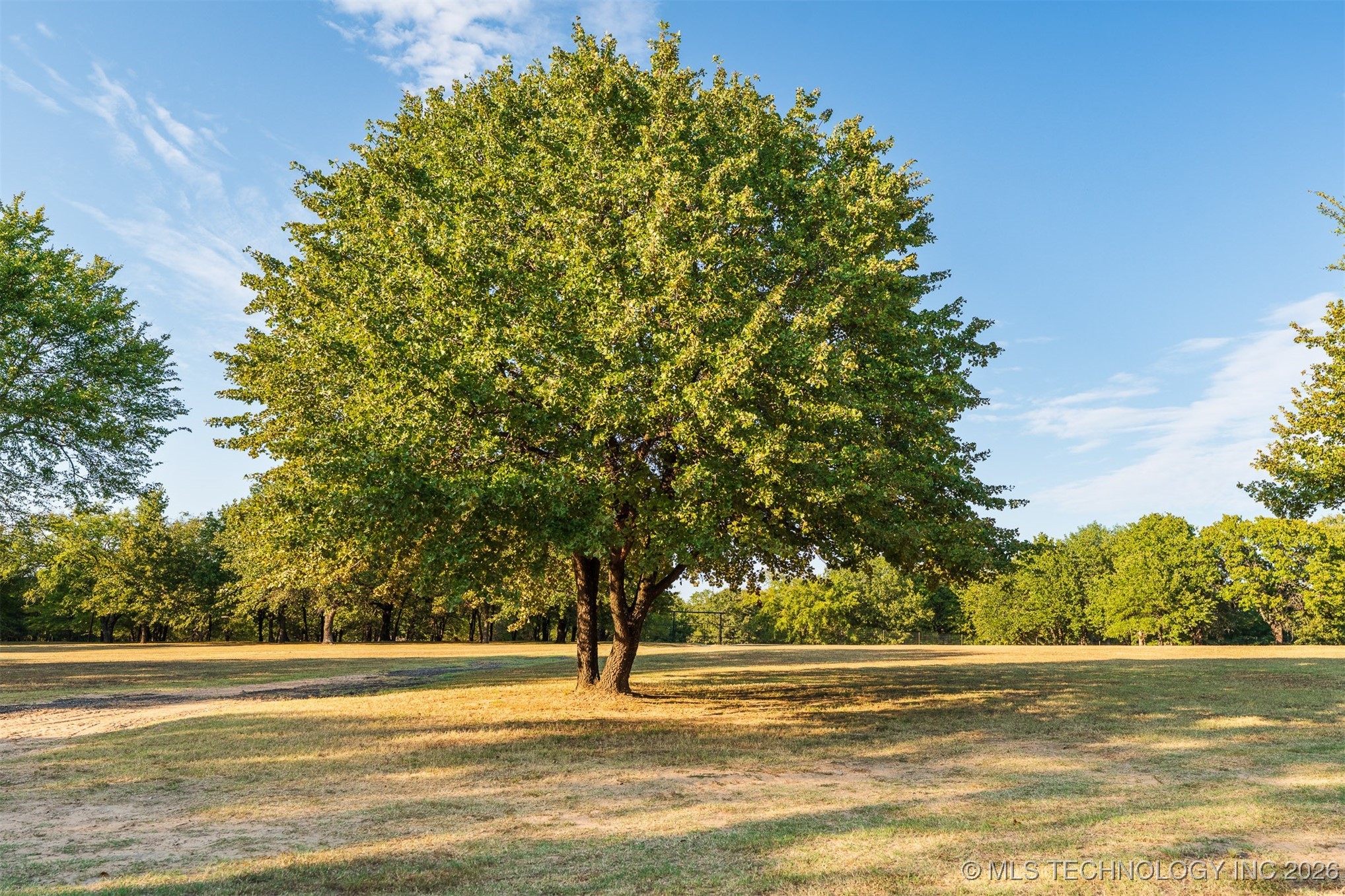 106082 N 3810 Street Property Photo 83