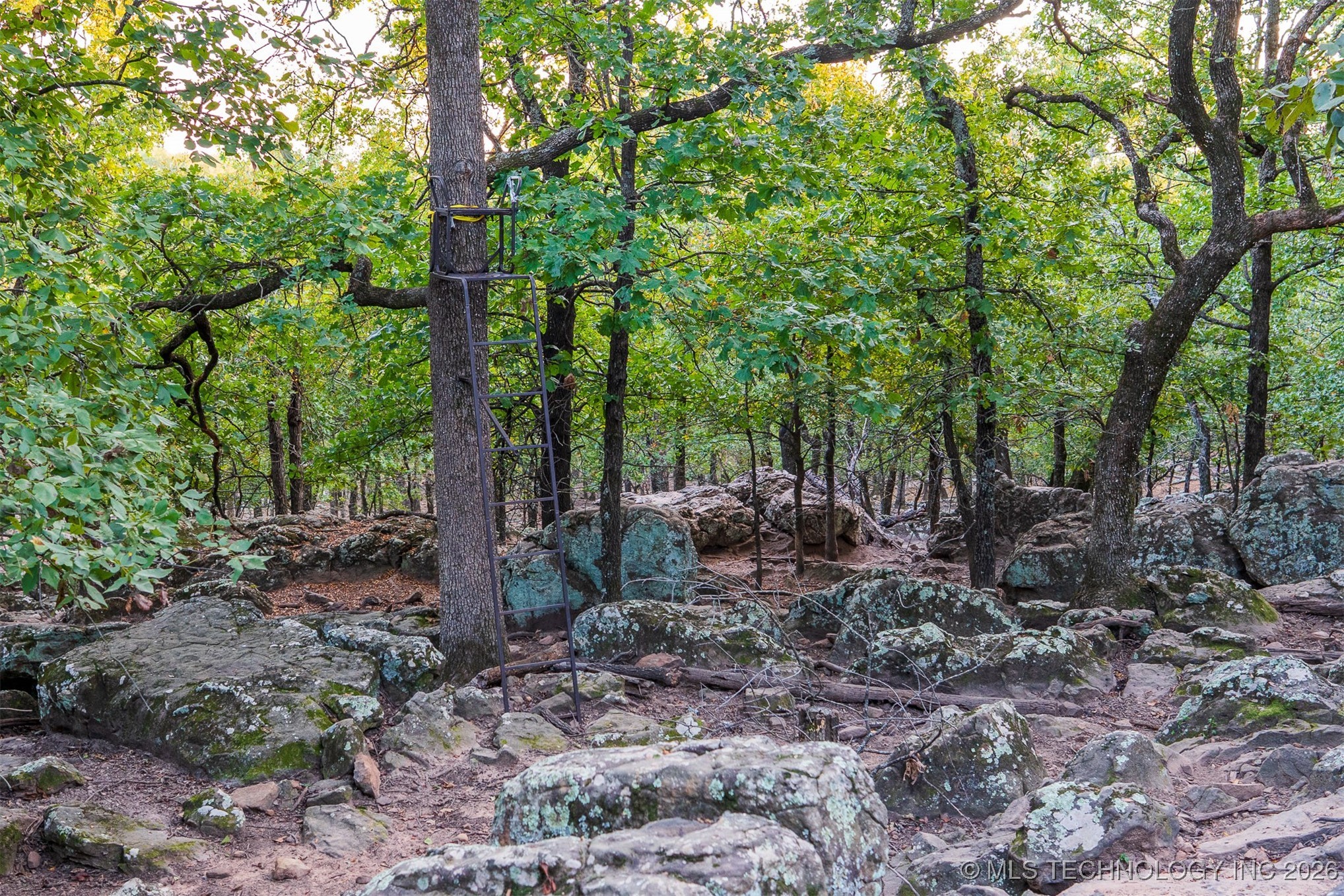 106082 N 3810 Street Property Photo 91