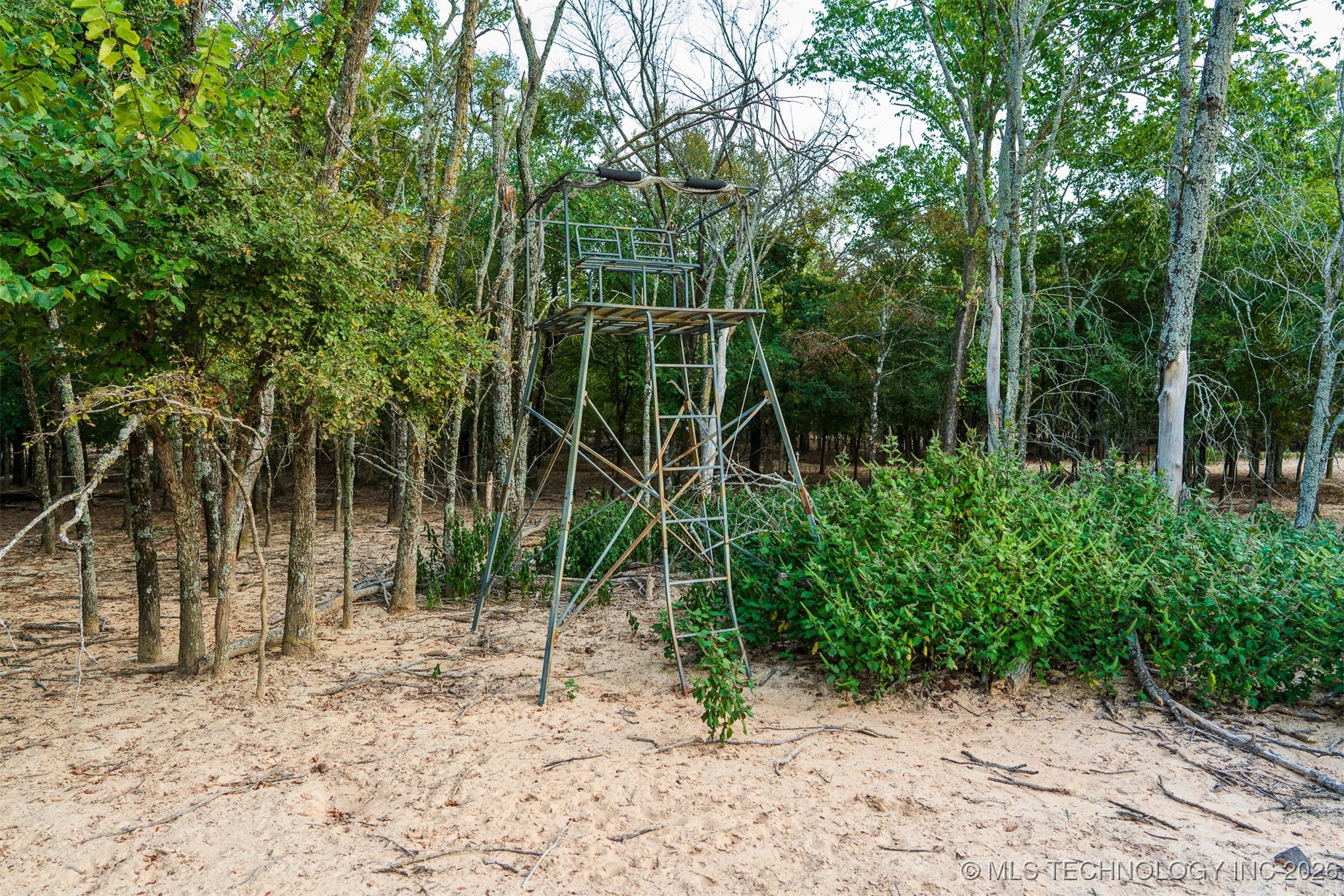 106082 N 3810 Street Property Photo 94