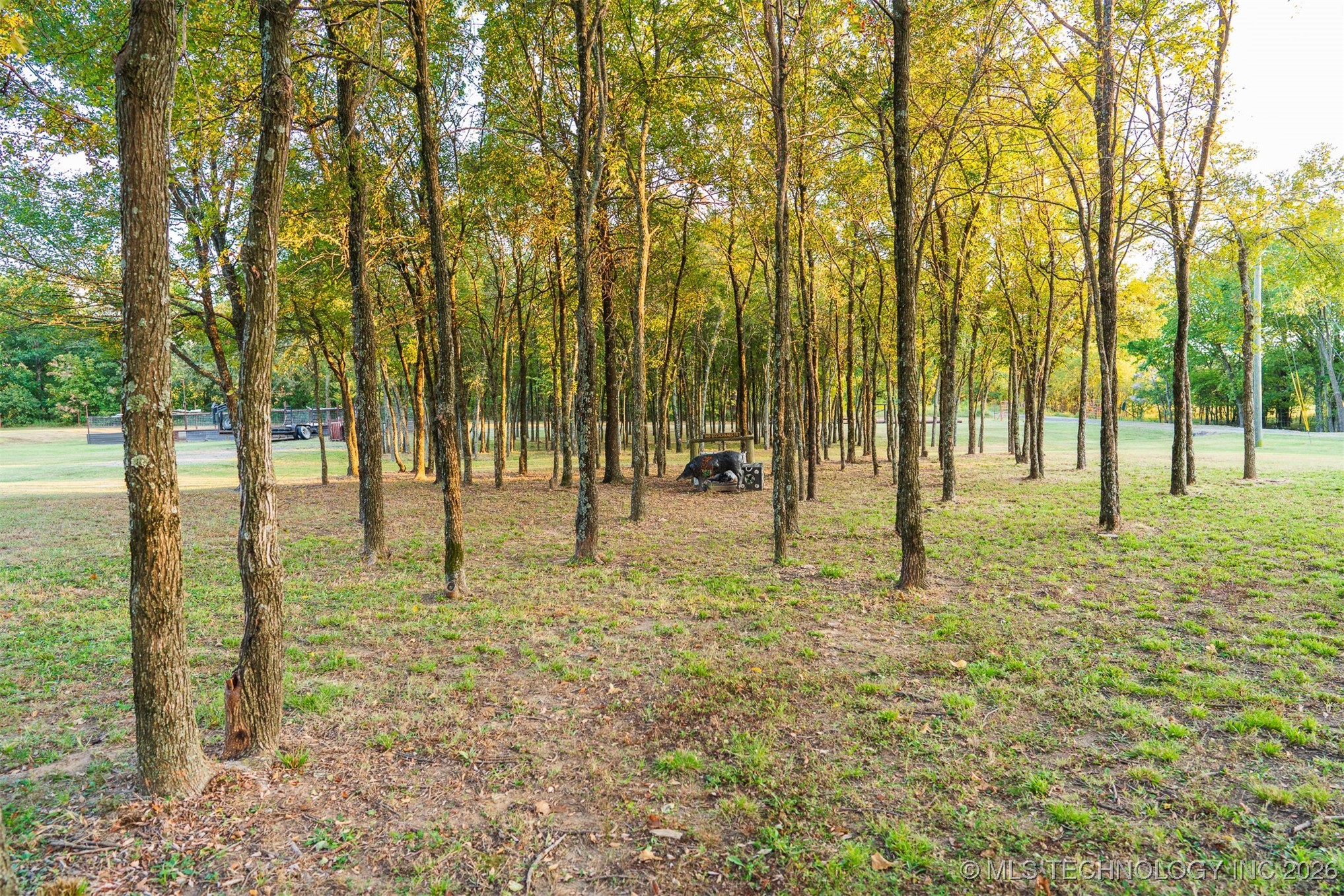 106082 N 3810 Street Property Photo 95