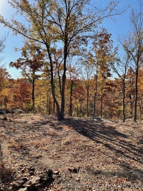 14500 E 202nd Street S Property Photo 3