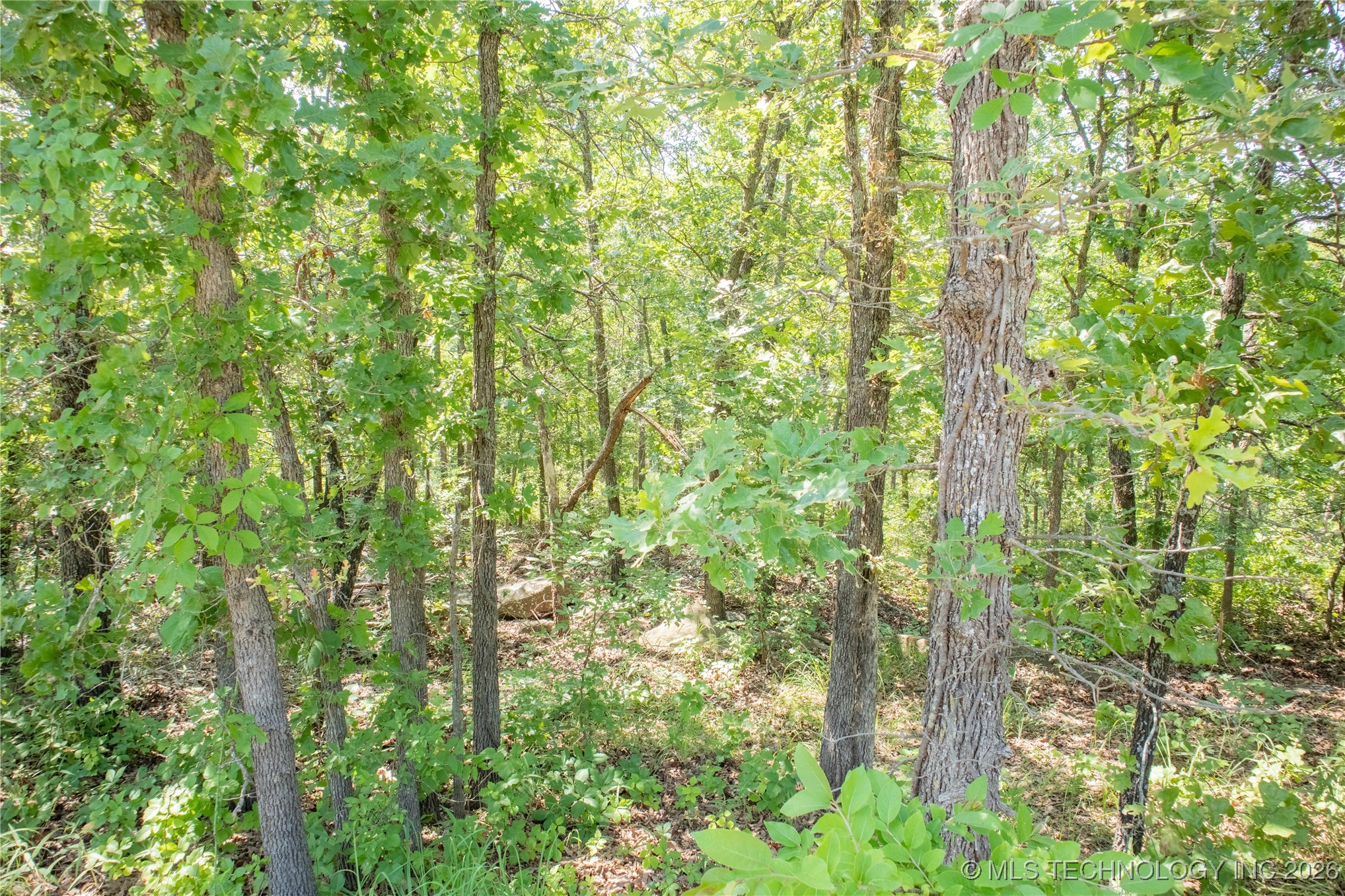 14500 E 202nd Street S Property Photo 17