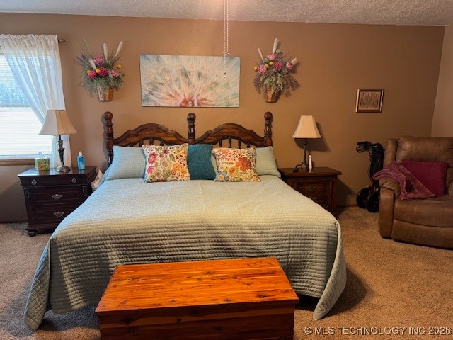 13547 Lowery Road Property Photo 31