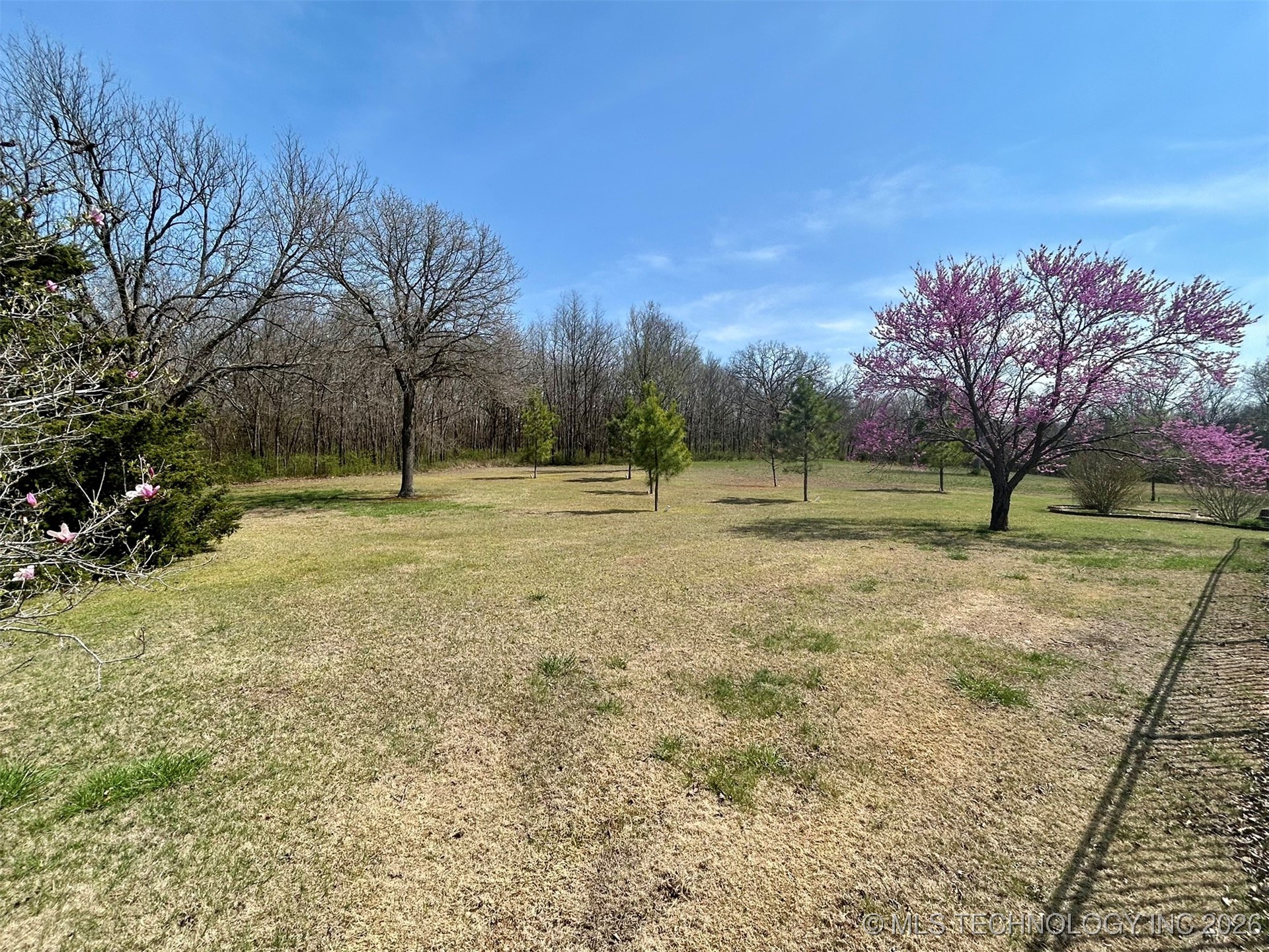 2372 Fox Street Property Photo 37