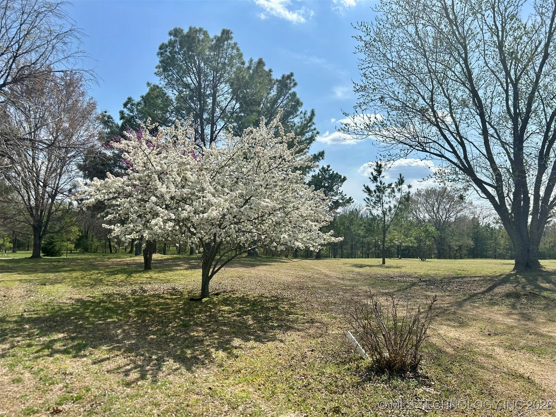 2372 Fox Street Property Photo 38