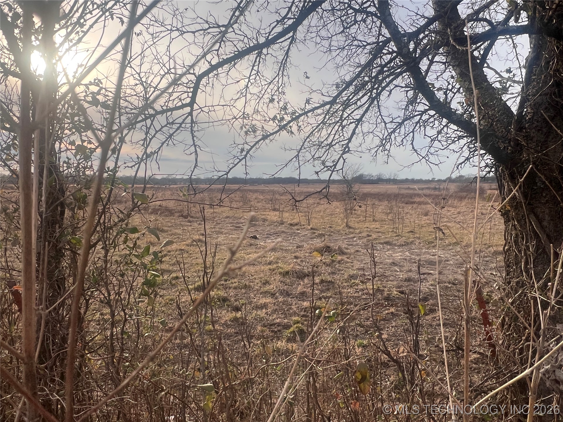 Hwy 63 Property Photo 39