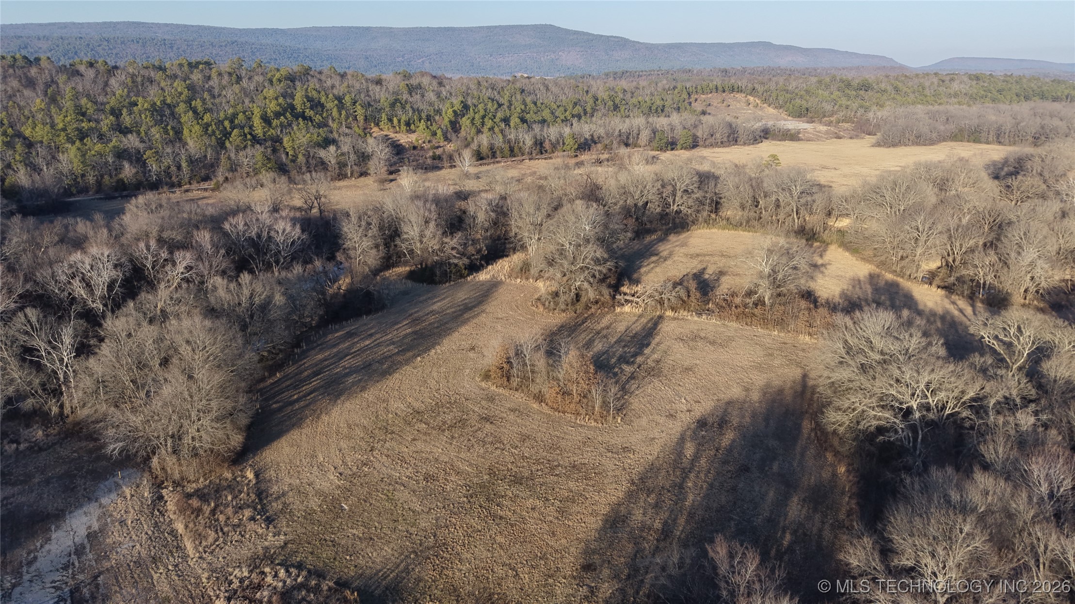 100 Property Photo 4