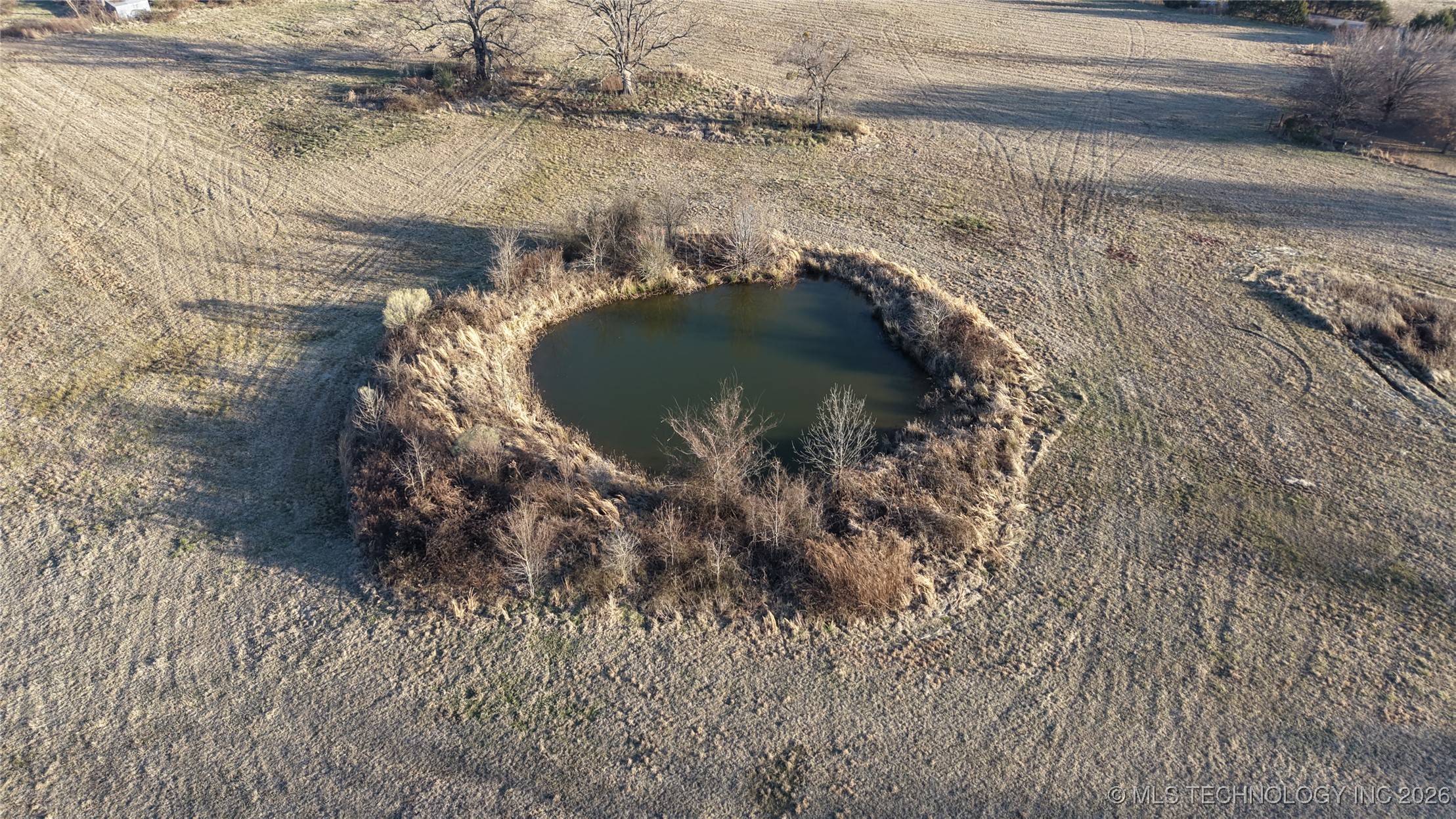 100 Property Photo 10